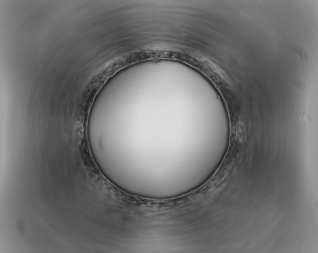 X0000114570821200911091214