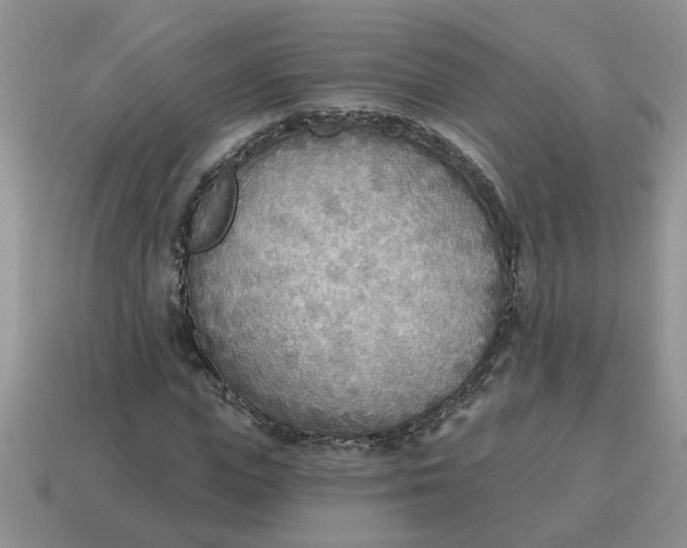 X0000114570823200911091214