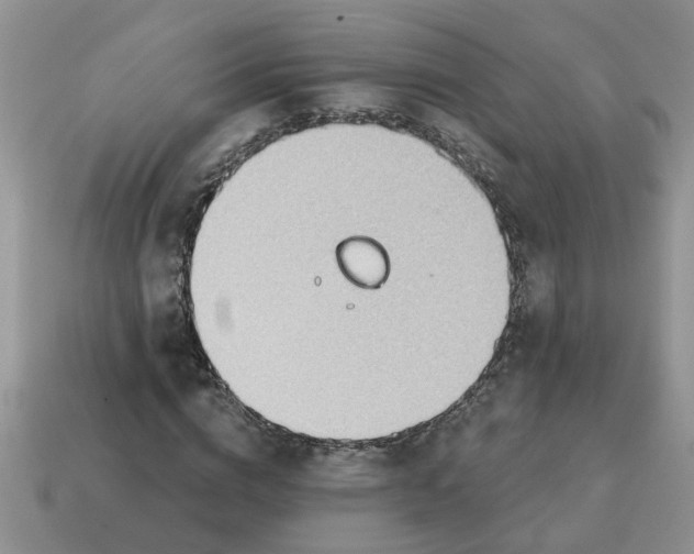 X0000114570824200911091214