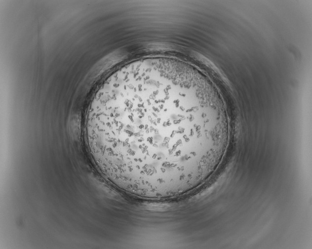 X0000114570825200911091214