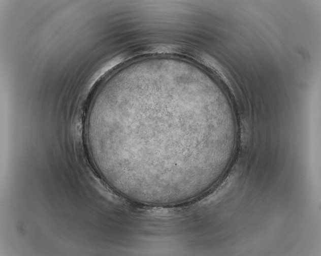 X0000114570827200911091214