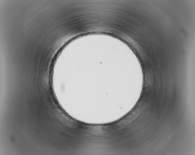 X0000114570828200911091214