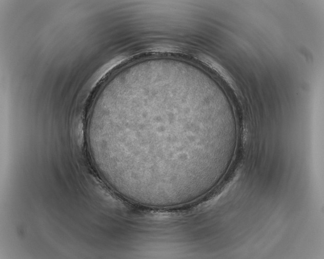 X0000114570829200911091214