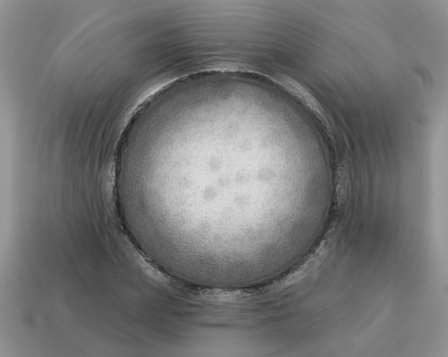 X0000114570831200911091214