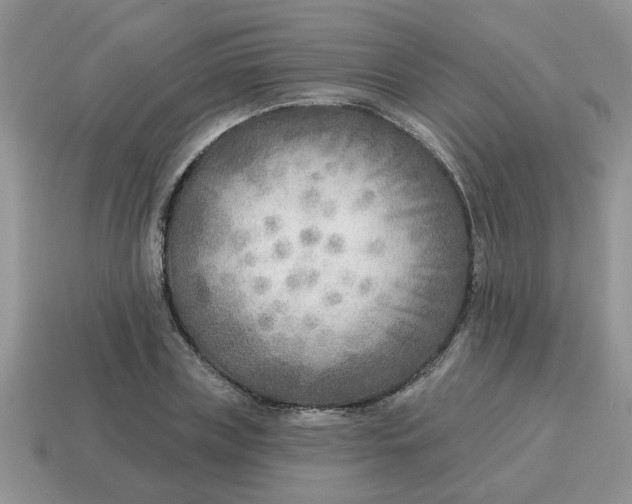 X0000114570835200911091214