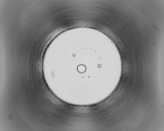 X0000114570836200911091214