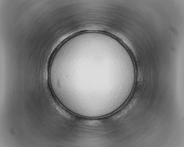 X0000114570837200911091214