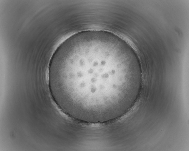 X0000114570839200911091214