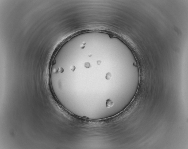 X0000114570840200911091214