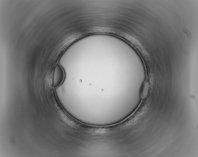 X0000114570841200911091214