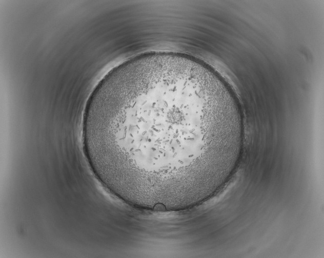 X0000114570845200911091214