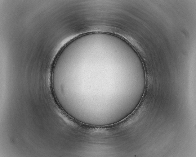 X0000114570846200911091214