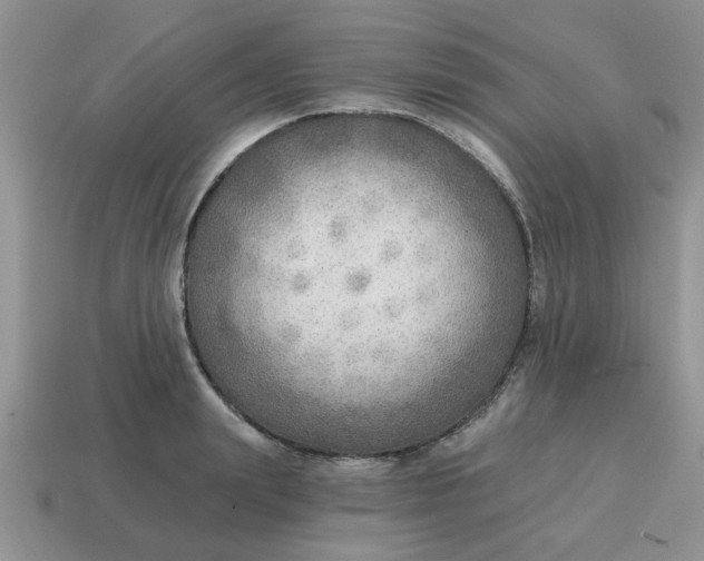 X0000114570847200911091214