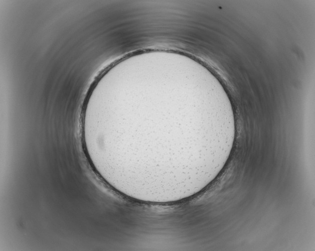 X0000114570848200911091214