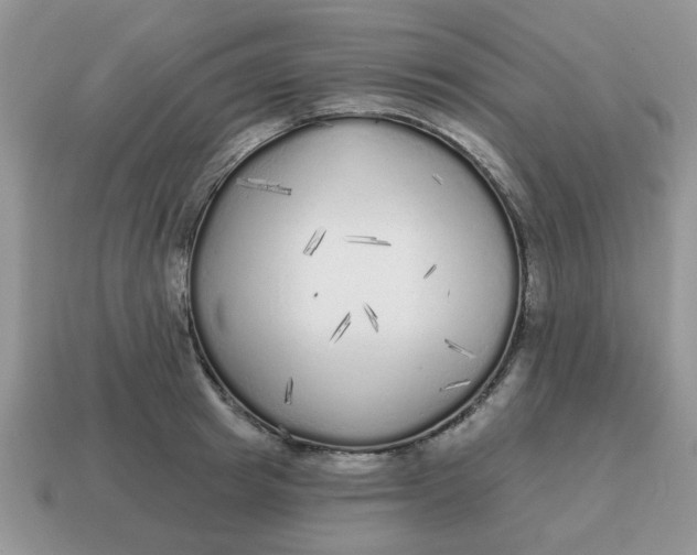 X0000114570849200911091214