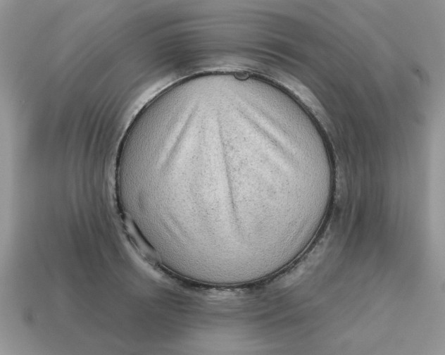 X0000114570850200911091214