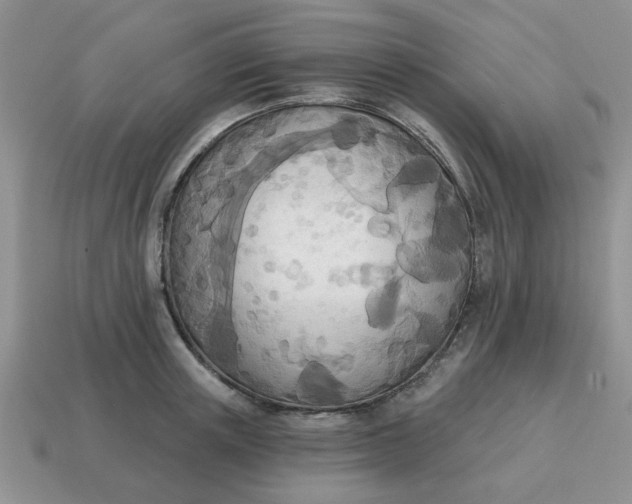 X0000114570851200911091214