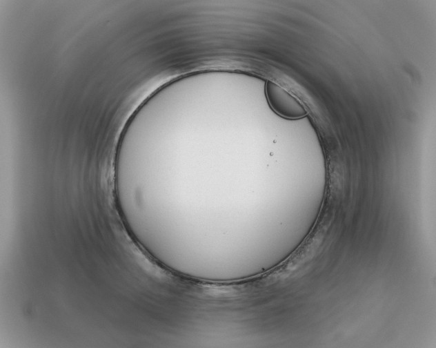 X0000114570852200911091214