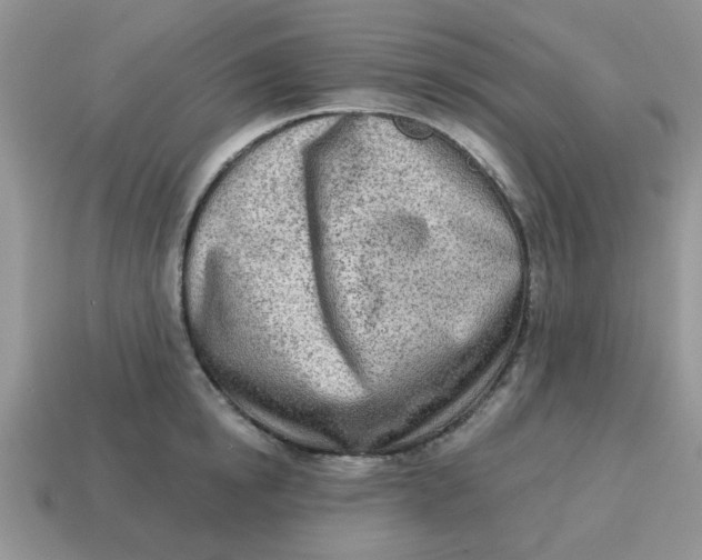 X0000114570854200911091214