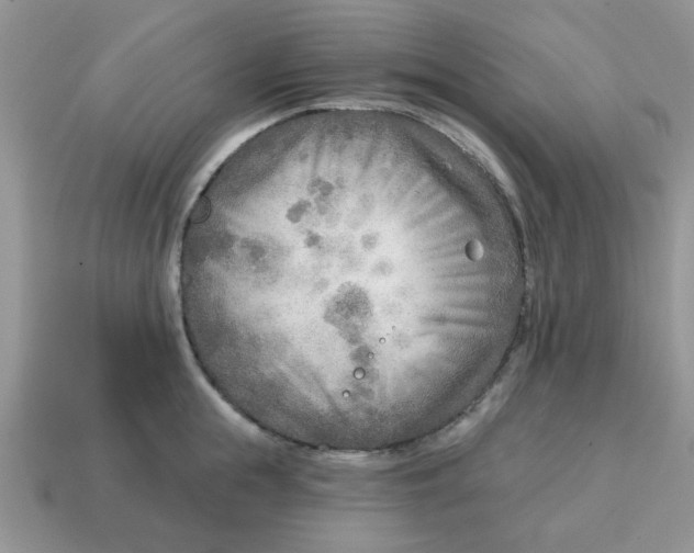 X0000114570855200911091214