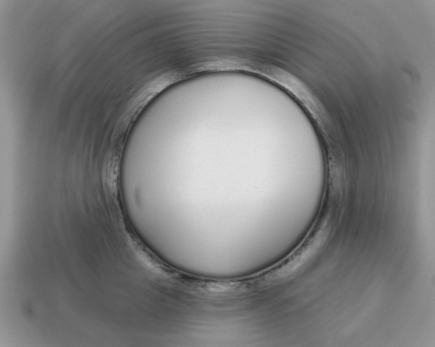 X0000114570857200911091214