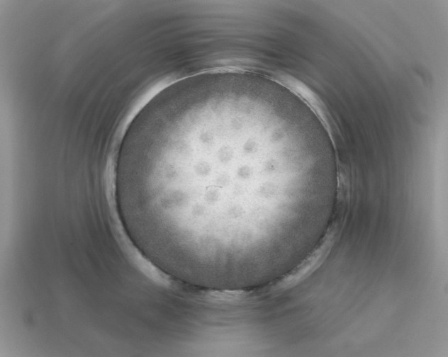 X0000114570859200911091214