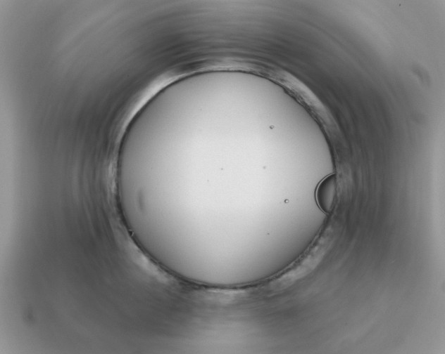 X0000114570860200911091214