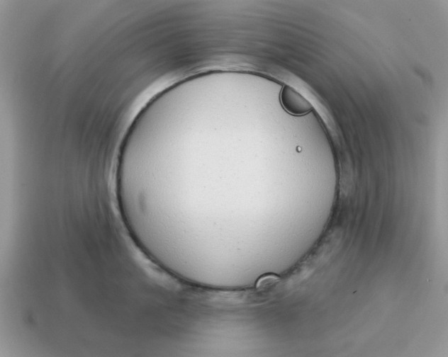 X0000114570861200911091214