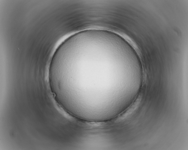 X0000114570862200911091214