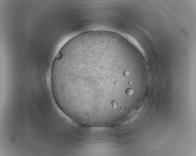 X0000114570863200911091214