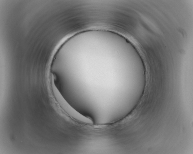 X0000114570864200911091214