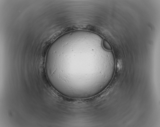 X0000114570867200911091214