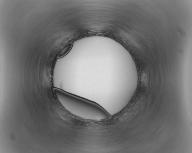 X0000114570868200911091214