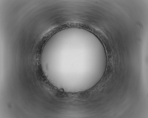 X0000114570870200911091213