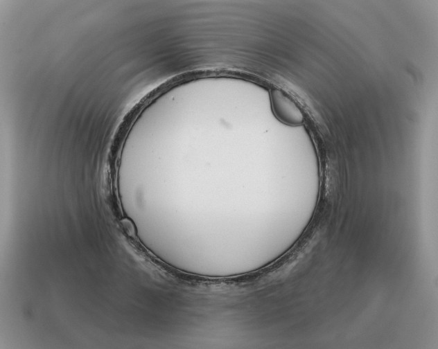 X0000114570876200911091213