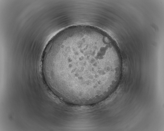 X0000114570879200911091213