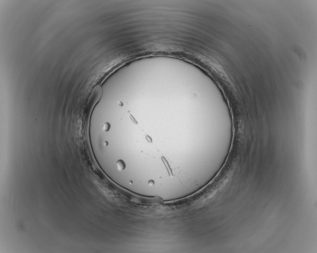 X0000114570881200911091213