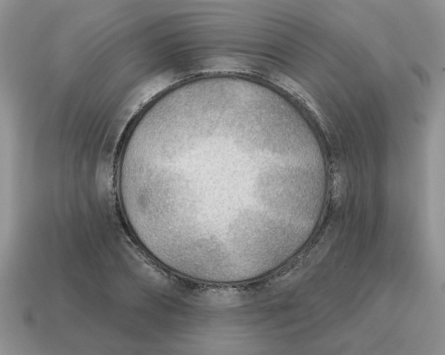 X0000114570882200911091213