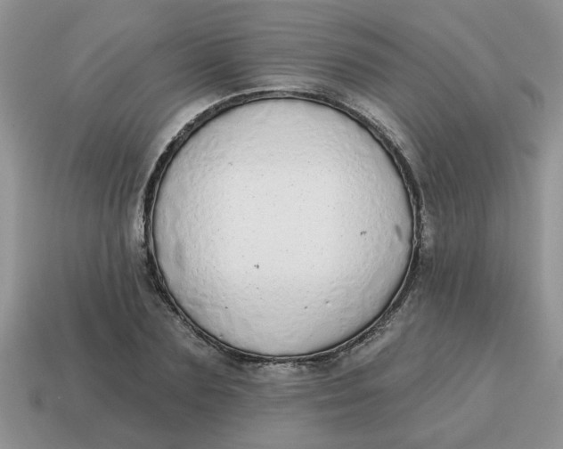 X0000114570883200911091213