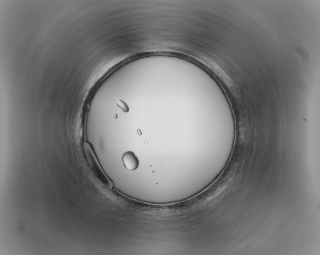 X0000114570885200911091213