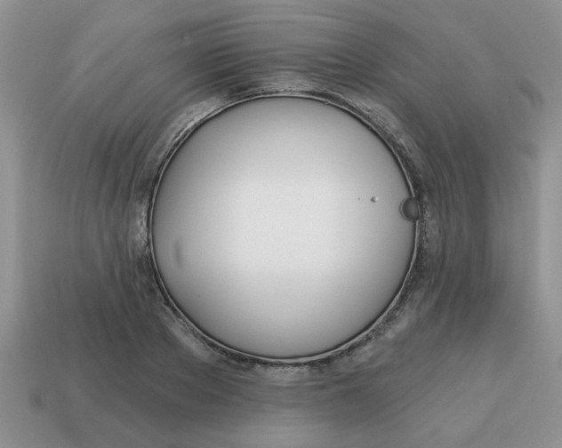 X0000114570889200911091213