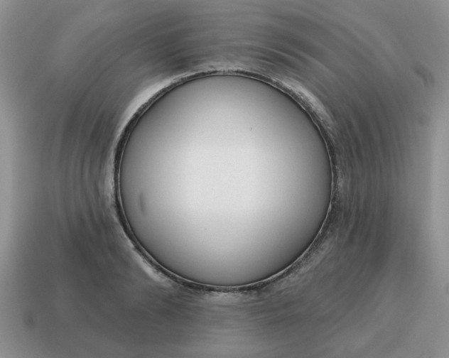 X0000114570894200911091213