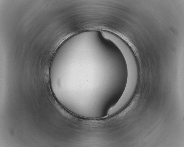 X0000114570897200911091213