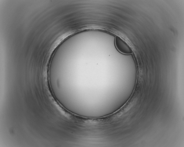 X0000114570898200911091213