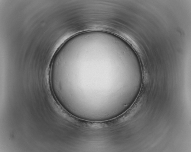 X0000114570899200911091213