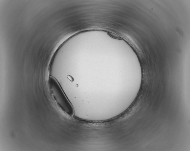 X0000114570900200911091213