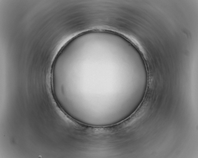 X0000114570903200911091213