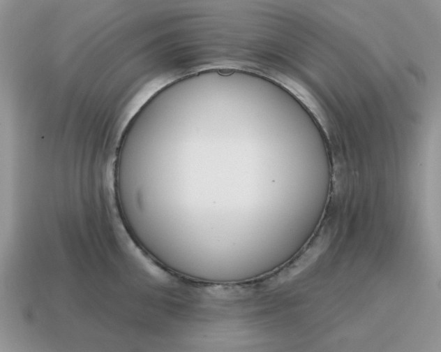 X0000114570906200911091213