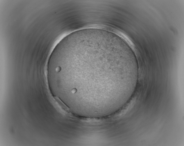 X0000114570907200911091213