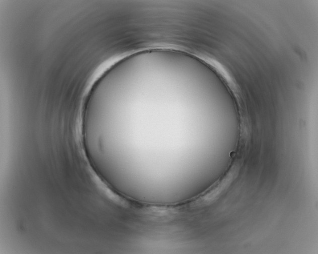 X0000114570910200911091213